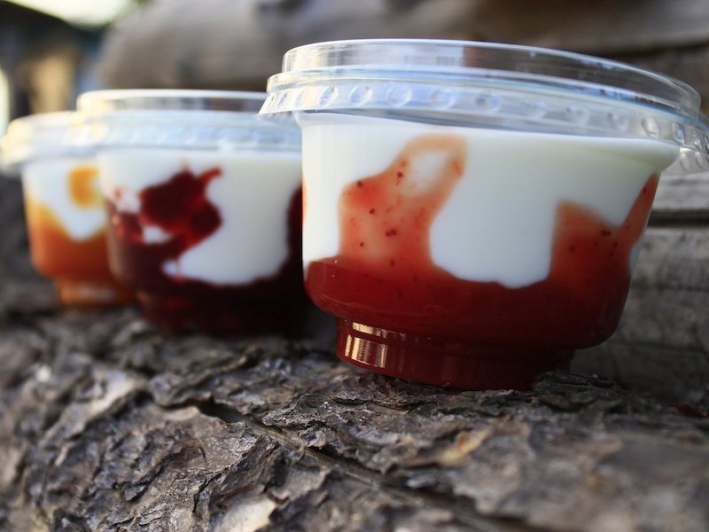 images/products/termek_joghurt2.jpg#joomlaImage://local-images/products/termek_joghurt2.jpg?width=800&height=600